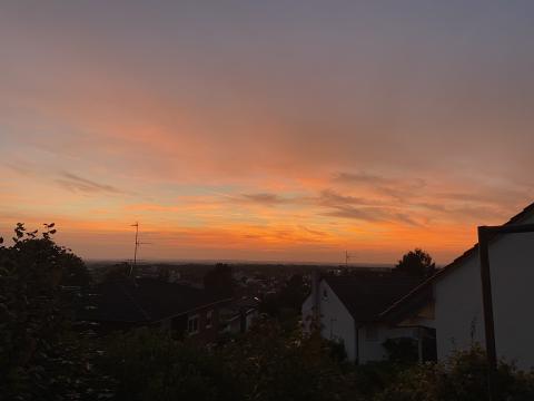 Profile picture for user maggie