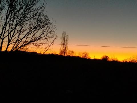 Profile picture for user Susanne