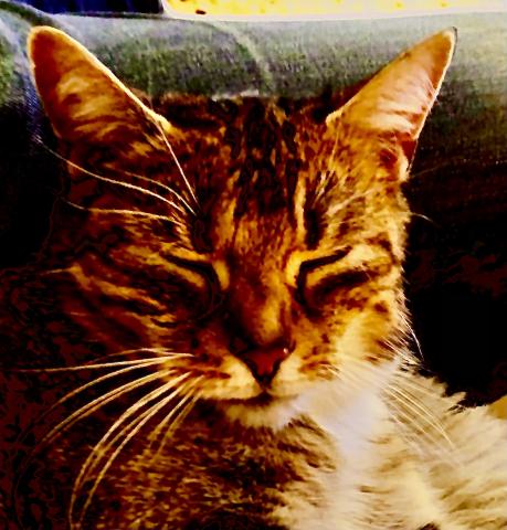 Profile picture for user Flocke