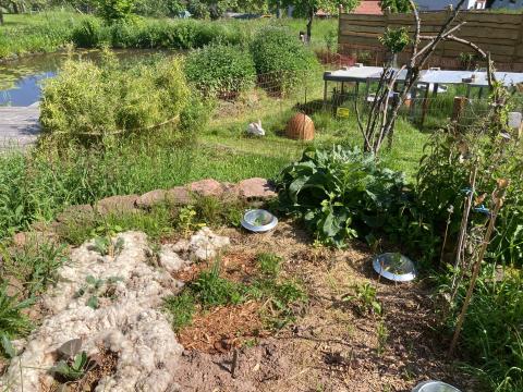 Profile picture for user Mima