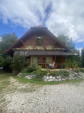 Profile picture for user Holzhaus