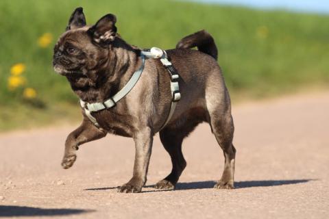 Profile picture for user MakeMyDay