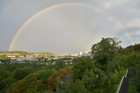 Profile picture for user wgzell