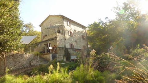 Profile picture for user Aurava