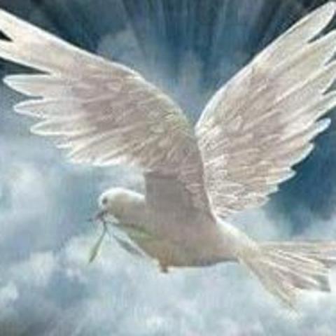 Profile picture for user Goldika4