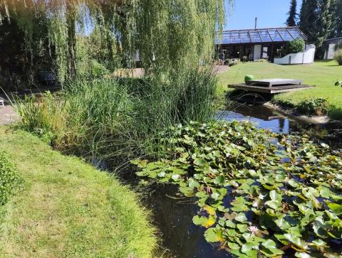 Profile picture for user Wohnen Betreuen auf dem Lande