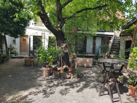 Profile picture for user kilian