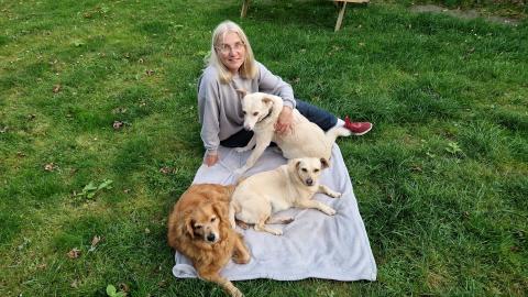 Profile picture for user Vandoni