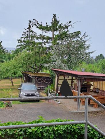 Profile picture for user Walberlablick