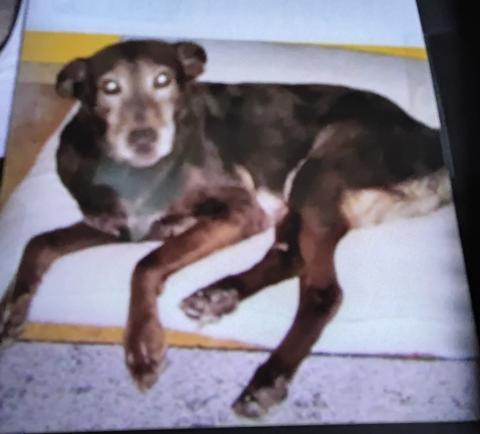 Profile picture for user Held