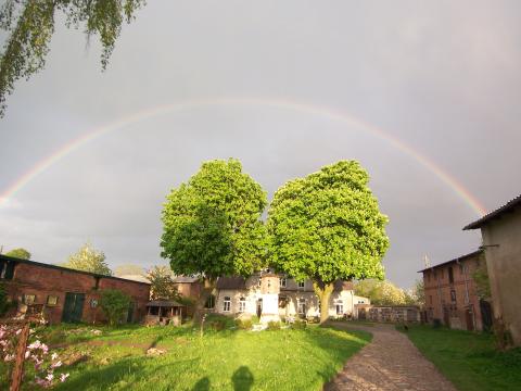 Profile picture for user Mithelfen