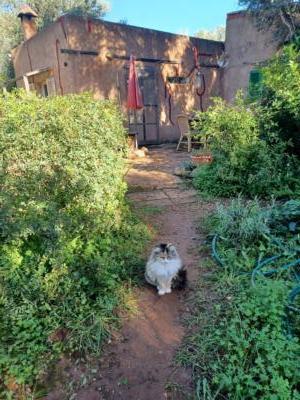 Profile picture for user ses tanques