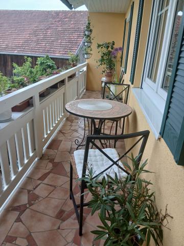 Profile picture for user Orchidee27