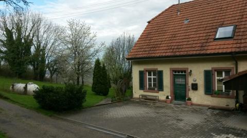 Profile picture for user Bürgermeister