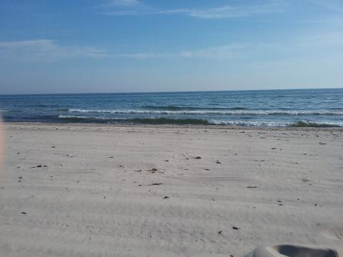 Profile picture for user bebe