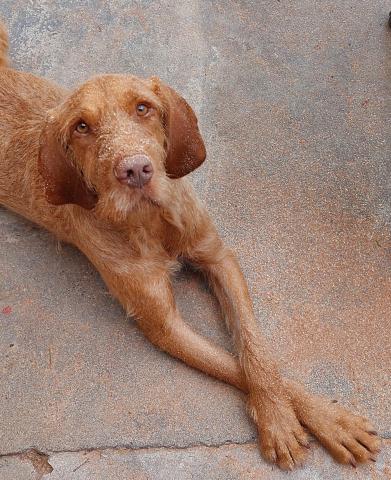 Profile picture for user Mrs. Whims