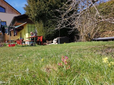 Profile picture for user Kunterbunt