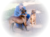 Profile picture for user Thomas_H.