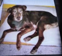 Profile picture for user Held