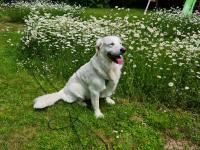 Profile picture for user wifucarterin