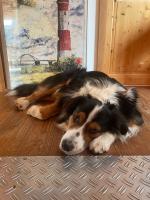 Profile picture for user kleneeinee