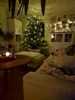 Profile picture for user Fandango