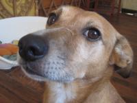 Profile picture for user Pipilotta