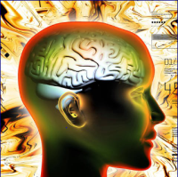 Profile picture for user Gerburg