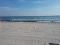 Profile picture for user bebe