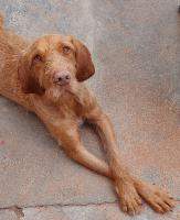 Profile picture for user Mrs. Whims