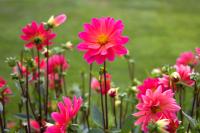 Profile picture for user DTh