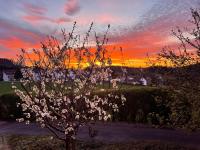 Profile picture for user Sue6363