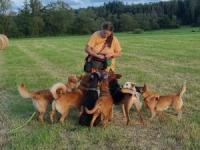 Profile picture for user Johanna Elisabeth